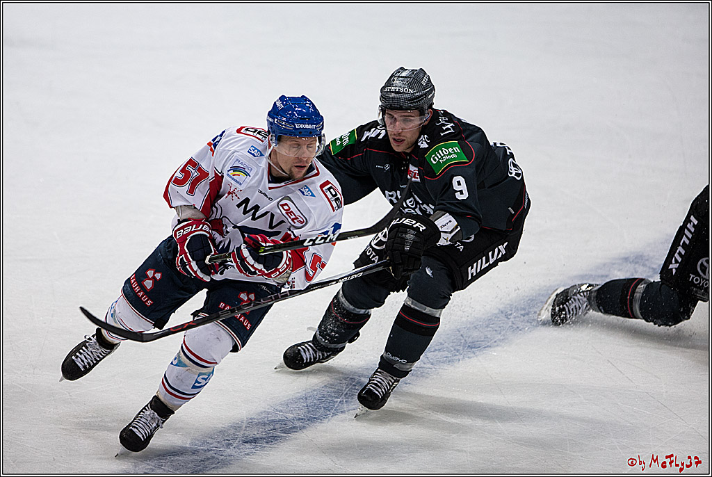 DEL, Koelner Haie - Adler Mannheim, 05.02.2017